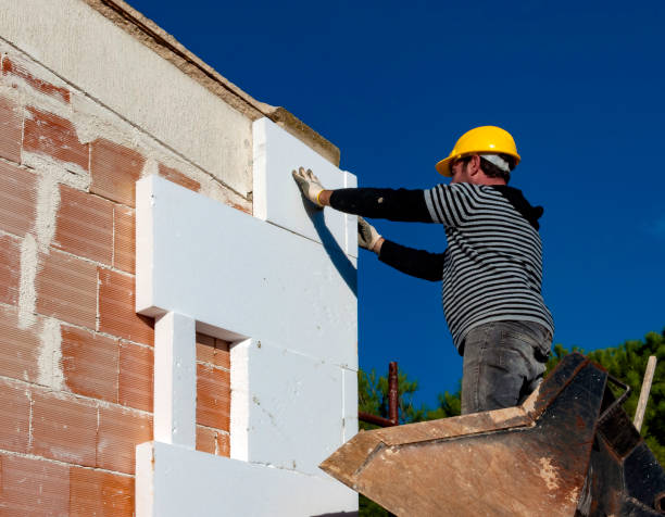 Best Local Insulation Services  in Mundelein, IL