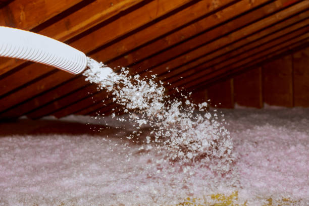 Best Insulation Contractor Near Me  in Mundelein, IL