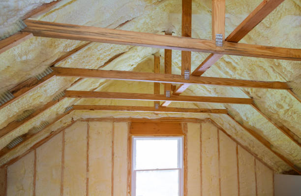 Best Home Insulation Services  in Mundelein, IL