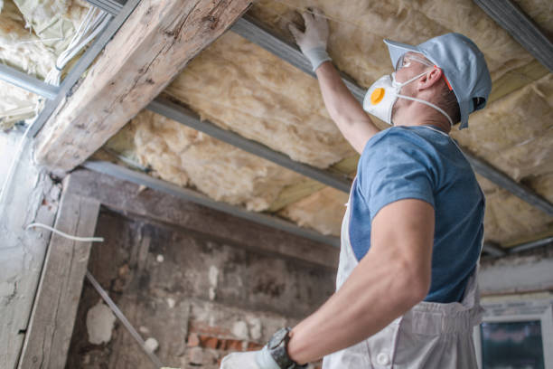 Best Cellulose Insulation  in Mundelein, IL