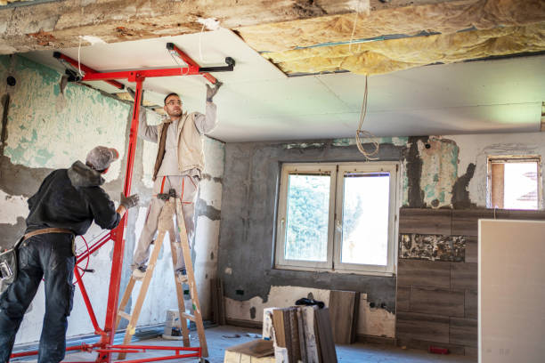 Best Professional Insulation Contractor  in Mundelein, IL