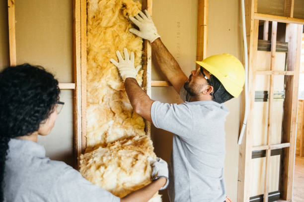 Best Energy-efficient Insulation  in Mundelein, IL