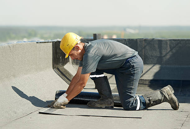 Best Best Insulation Companies  in Mundelein, IL