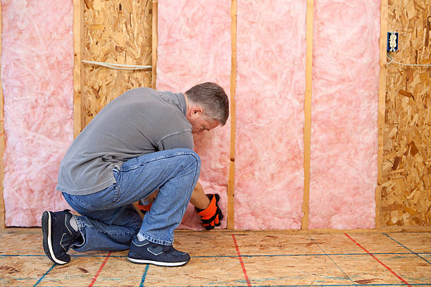 Best Affordable Insulation Services  in Mundelein, IL