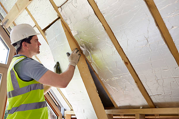 Best Crawl Space Insulation  in Mundelein, IL